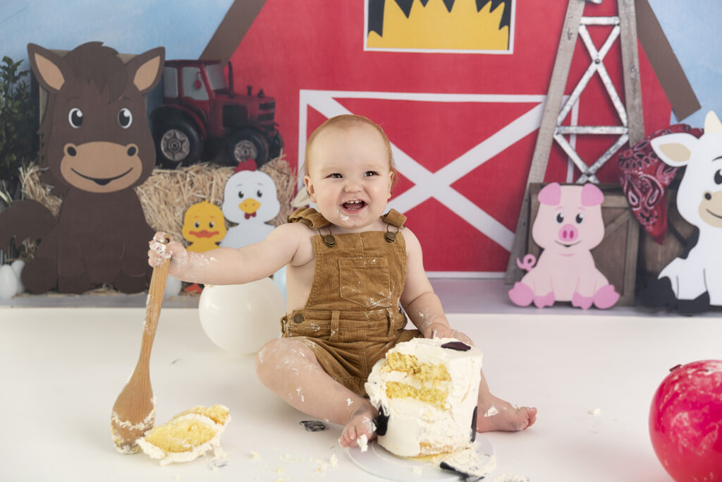 Cake Smash Photographer