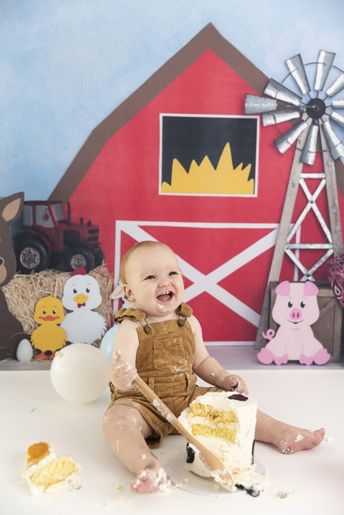 Cake Smash Photographer