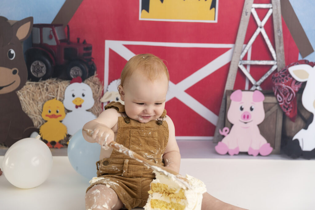 Cake Smash Photographer