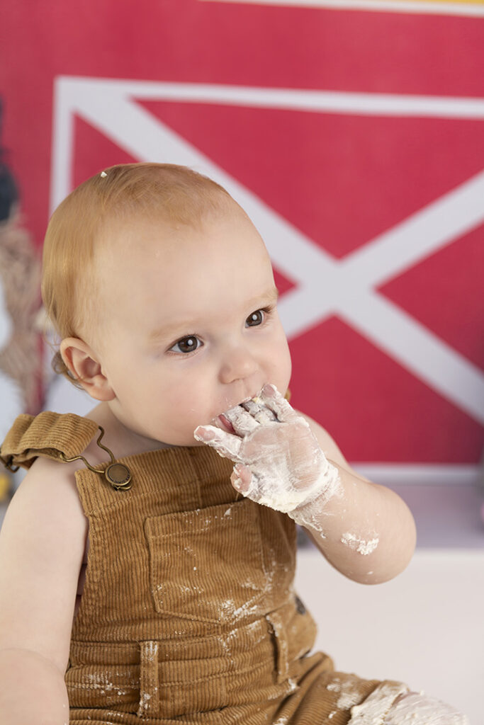 Cake Smash Photographer
