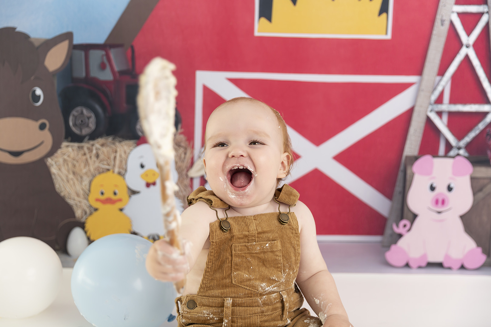 Cake Smash Photographer