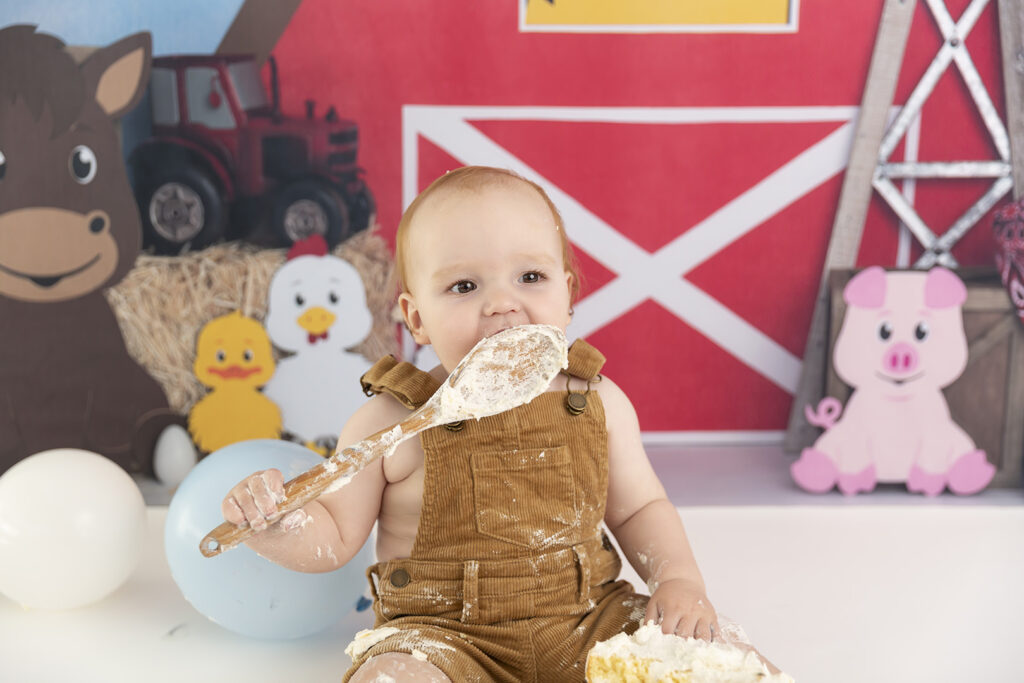 Cake Smash Photographer