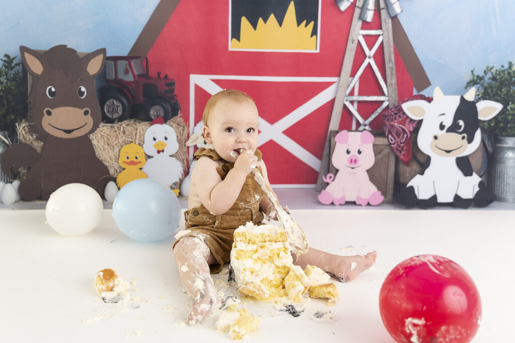 Cake Smash Photographer