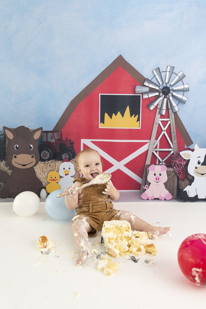 Cake Smash Photographer