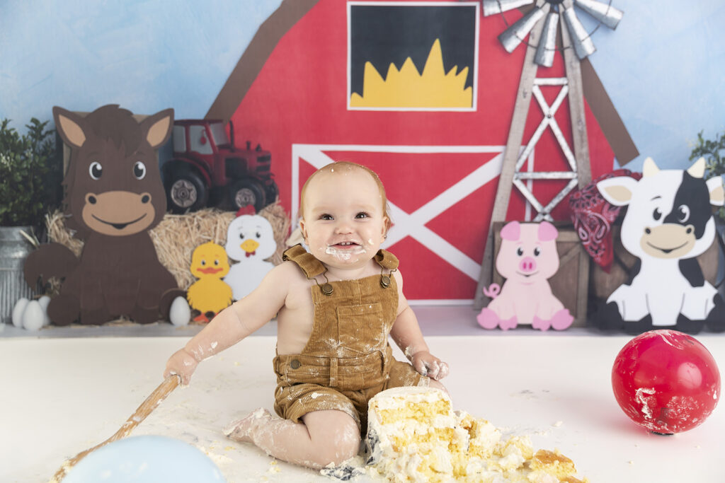 Cake Smash Photographer