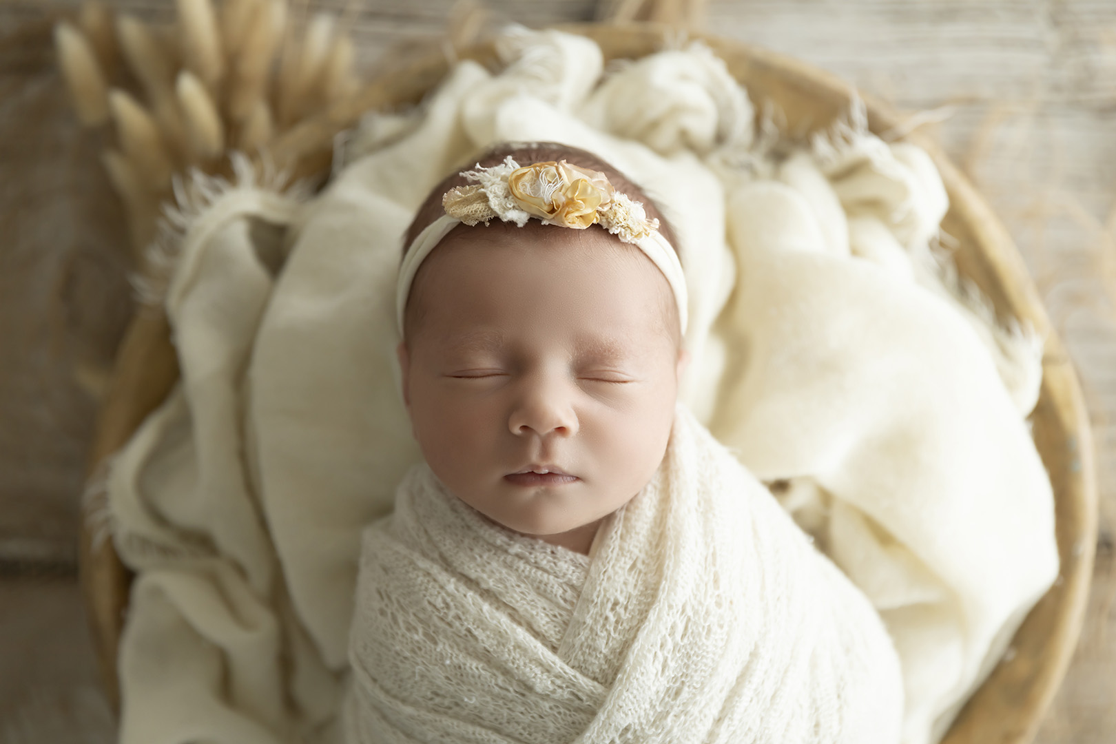 Newborn Studio Photographer