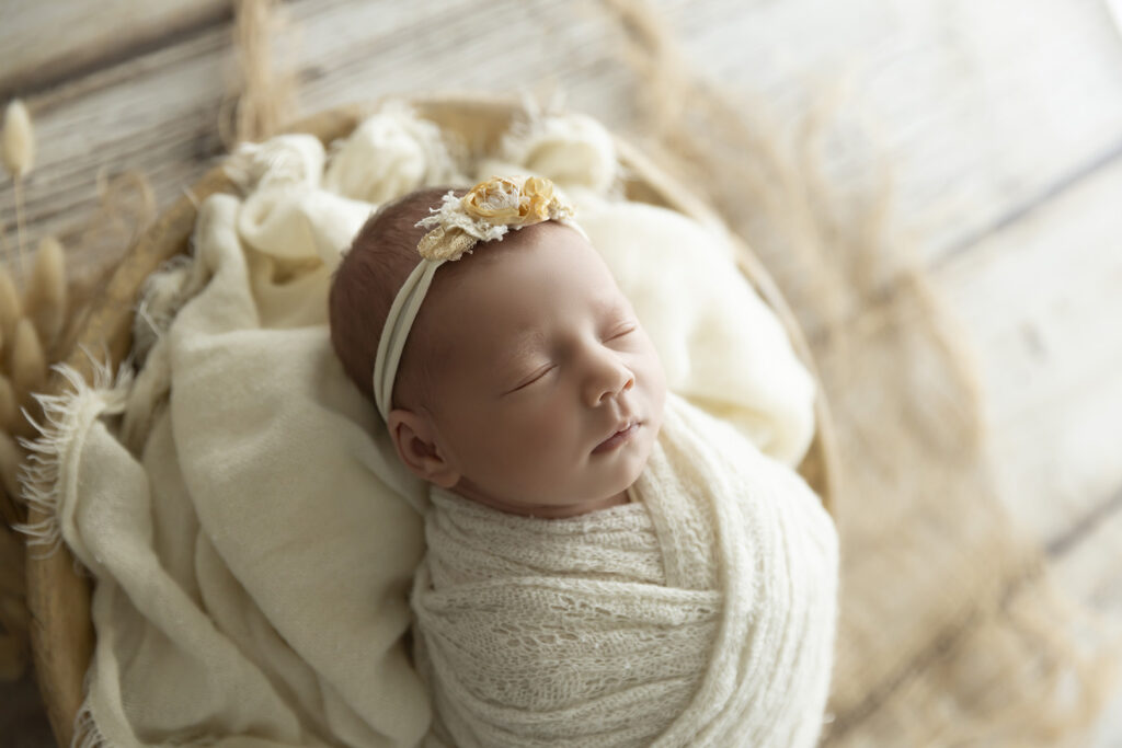 Newborn Studio Photographer