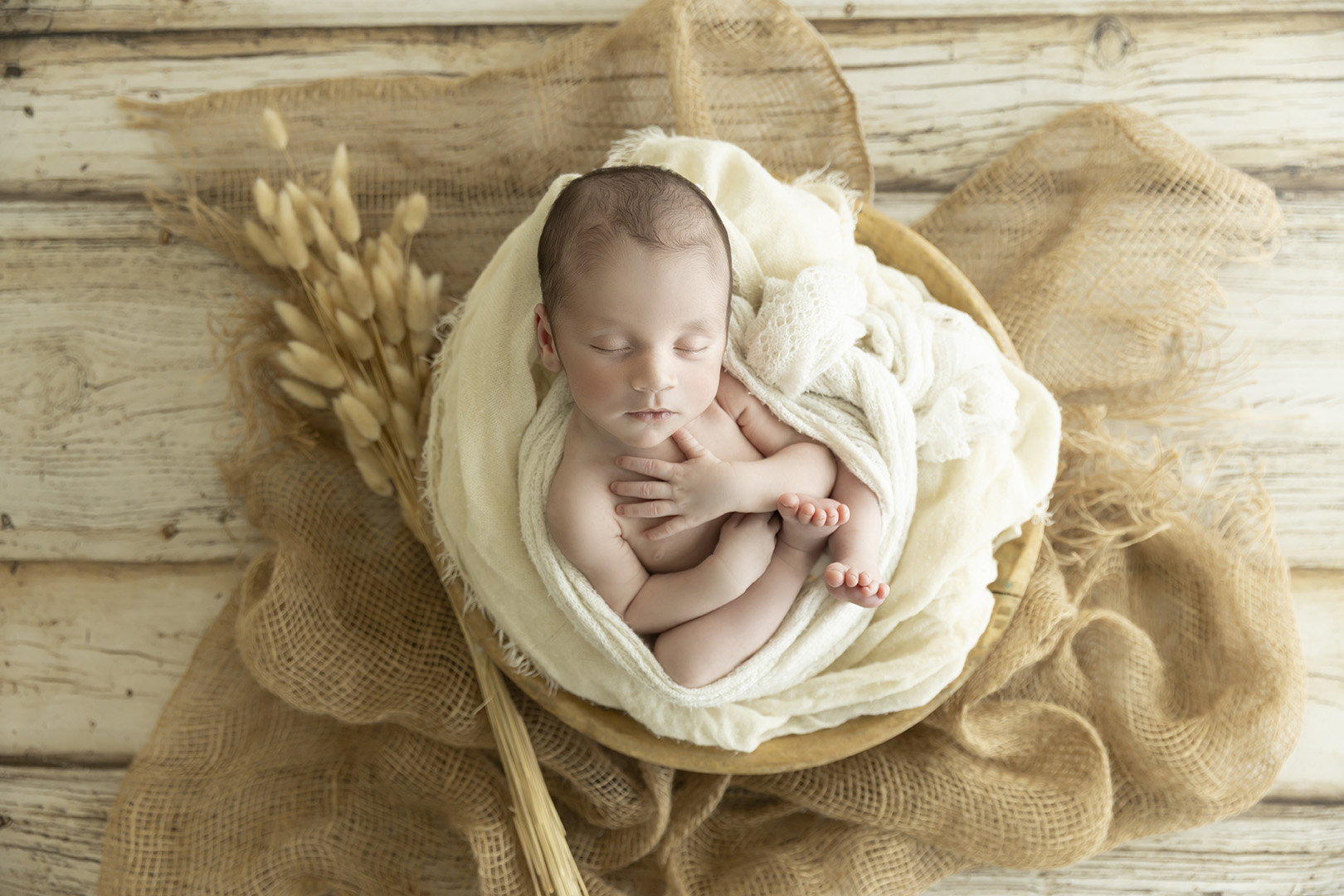 Brisbane Newborn Photographer
