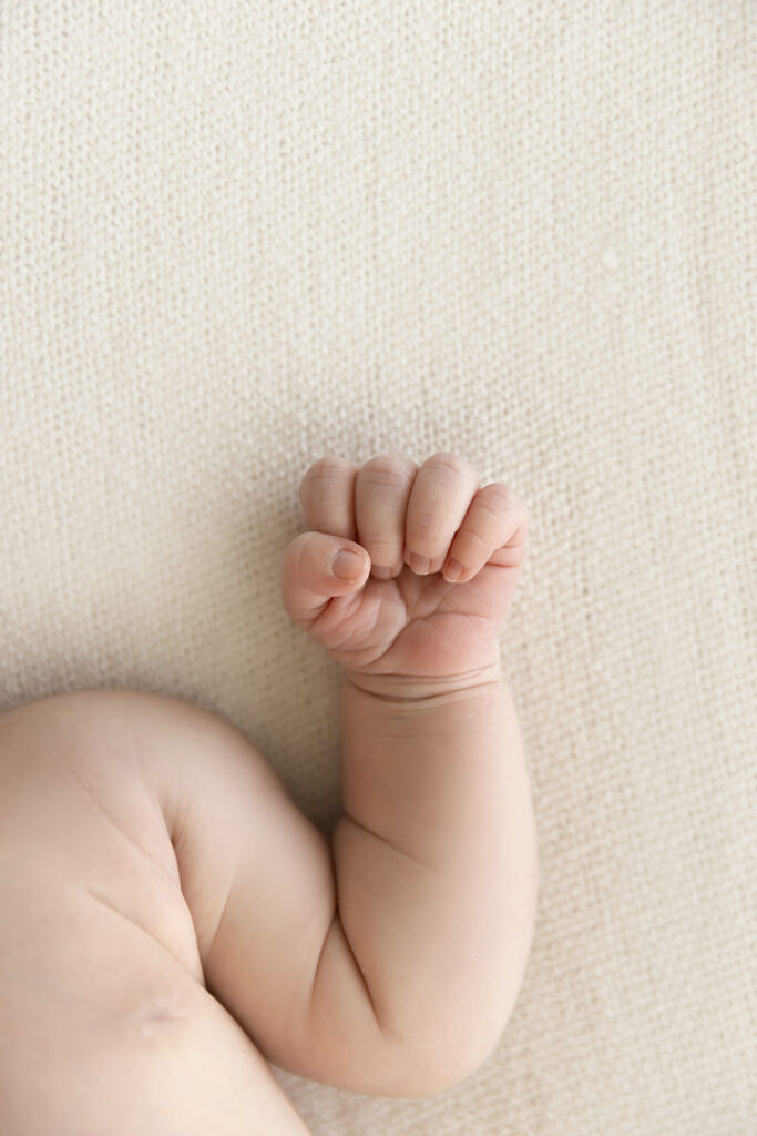 Local Newborn Photographer