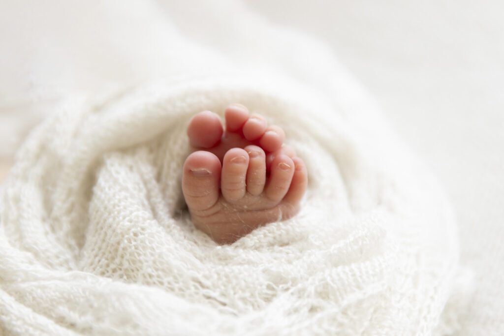 Newborn Photography