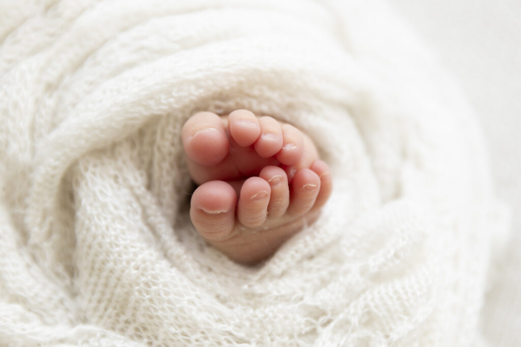 Newborn Photography