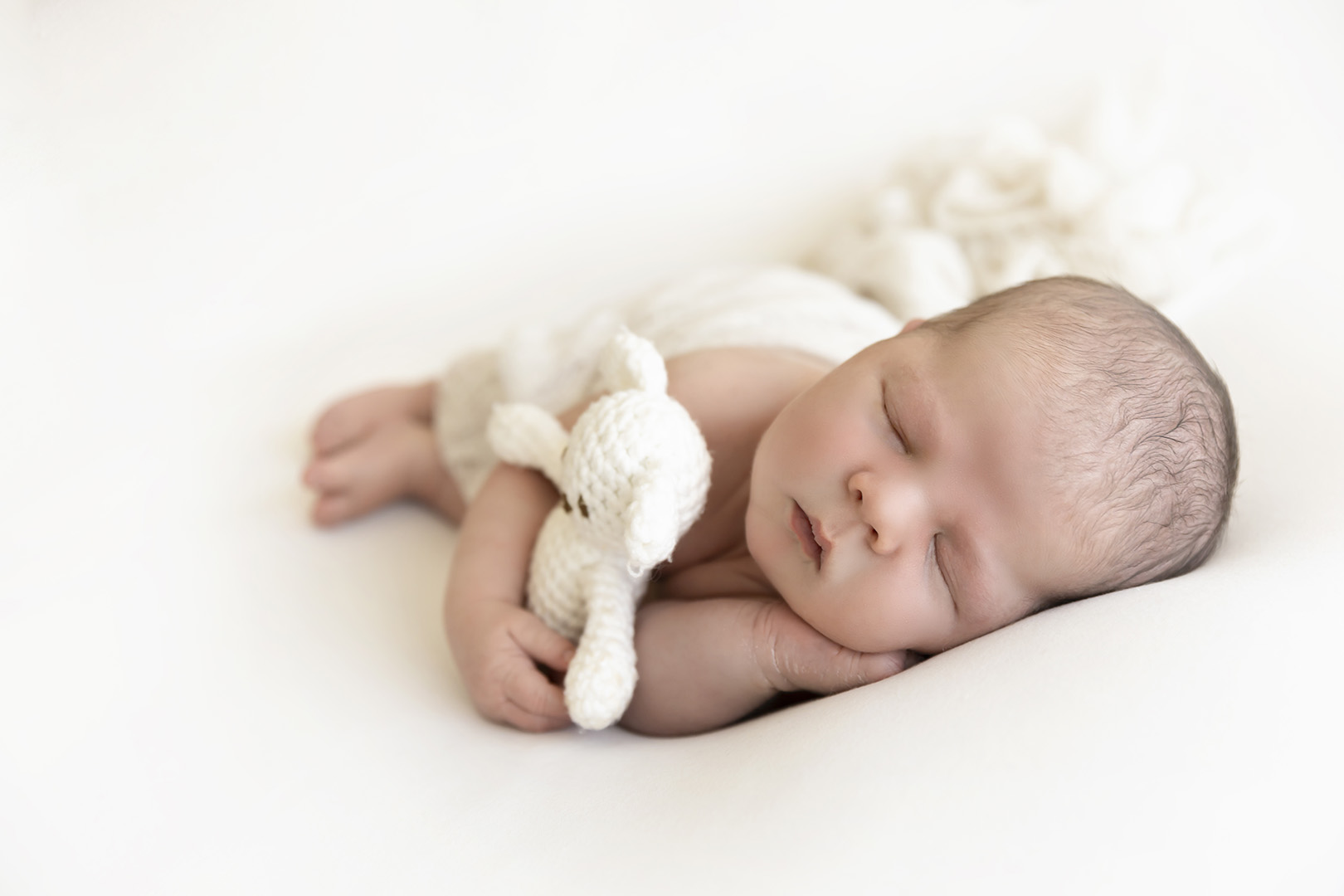 Newborn Photography Brisbane