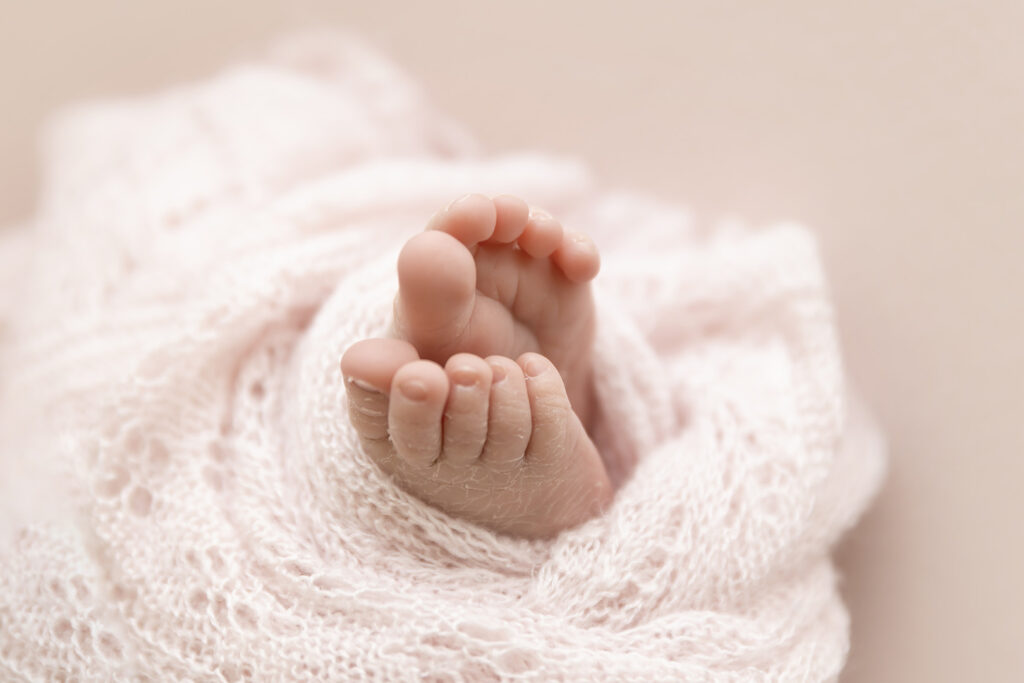 Newborn Studio North Brisbane