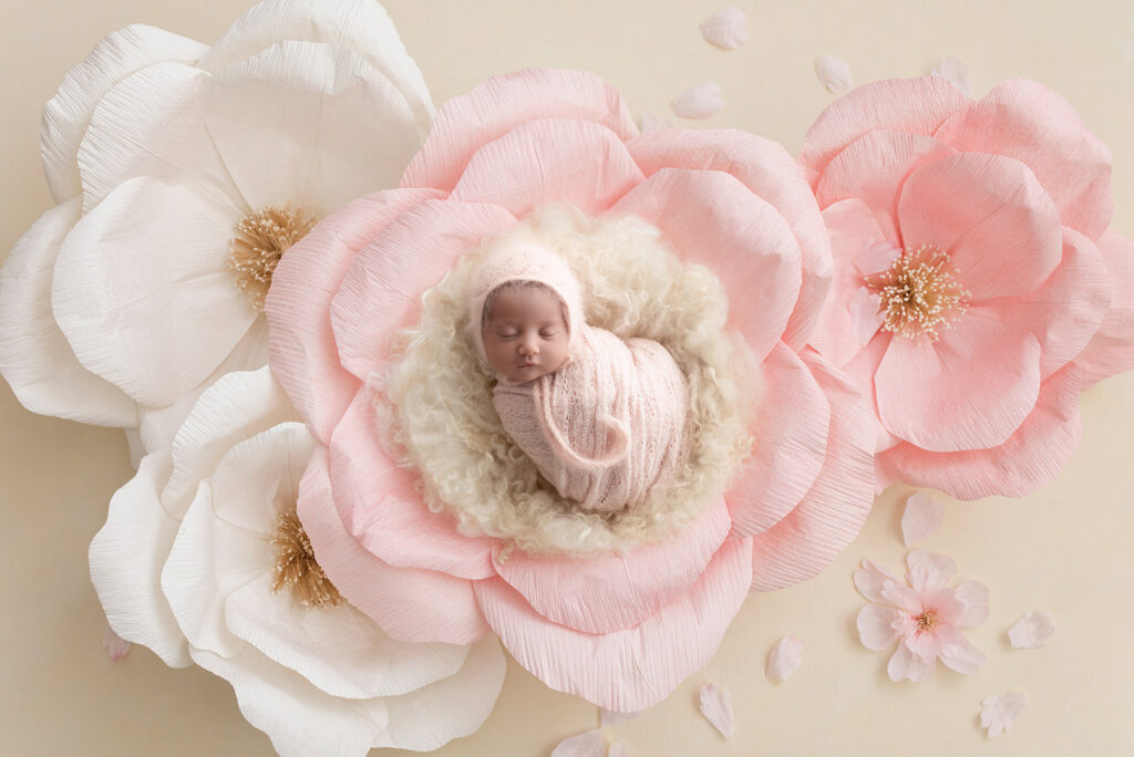 Brisbane Newborn Photographer
