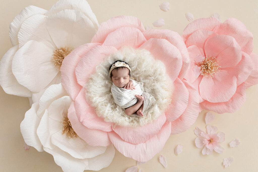 Newborn Studio BNE